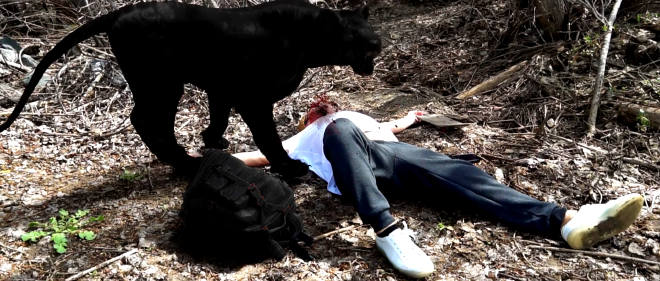 An image looking down at a man in the forest, lying on the ground. Animated blood spews out of his neck. Standing over him is a large, CGI, black coloured cougar. In front of the cougar, on the ground, is a black backpack.