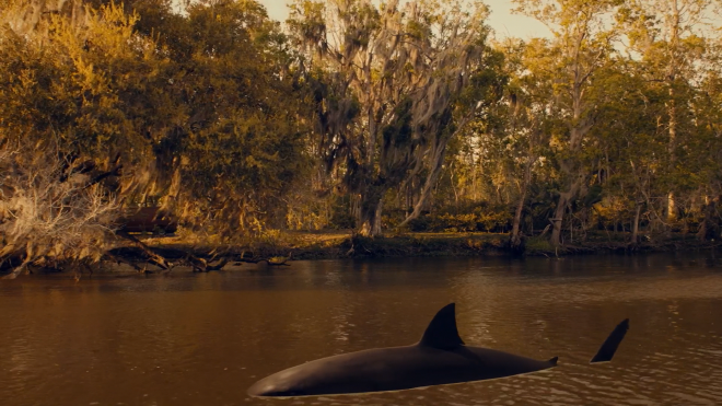 A CGI shark swims up a muddy river. In the background a van is driving parallel to it, on a road beside the river.